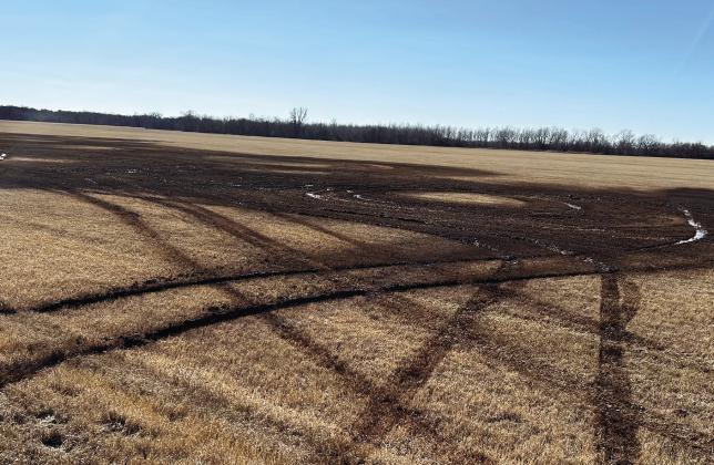 Two local teens caused around $10,000 in damage to a Bermuda grass hayfield north of Wynnewood recently by driving their vehicles through it. Photo courtesy of Joe Menefee